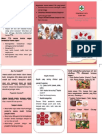 PDF Leaflet TTD Rematridocx - Compress