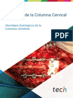 Abordajes de La Columna Cervical
