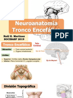 Tronco Encefalico