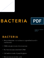 4 - Bacteria