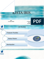 Kista Iris