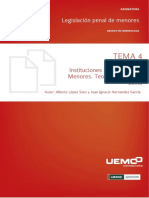 Tema 4 - Instituciones - Particulares - de - Menores