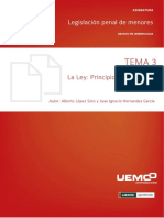 Tema 3 - La Ley - Pincipios y Esctructura - EL - Menor