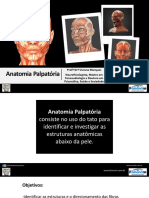 Anatomia