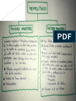 Nefrolitiasis