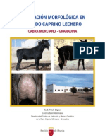 1222-Texto Completo 1 Valoración Morfológica en Ganado Caprino Lechero. Cabra Murciano-Granadina