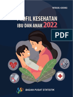Profil Kesehatan Ibu Dan Anak 2022