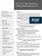 233 Curriculum Vitae Profesional para Trabajo