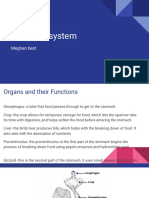 Digestive Systems of Sparrows