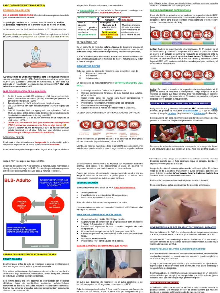 s2 RCP Emergencias Medicas | PDF | Reanimación cardiopulmonar | Paro ...