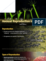 Asexual Reproduction in Animals