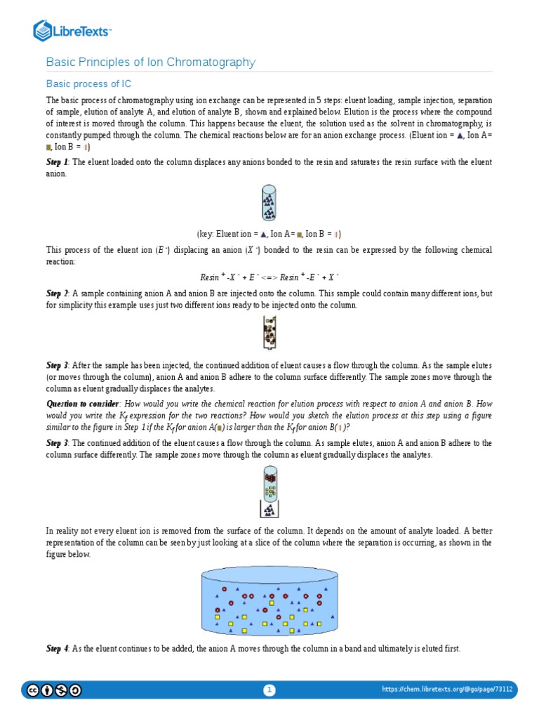 03 Basic Principles of Ion Chromatography PDF Elution Chromatography