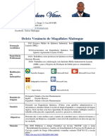 Curriculum Vitae Engenheiro Químico