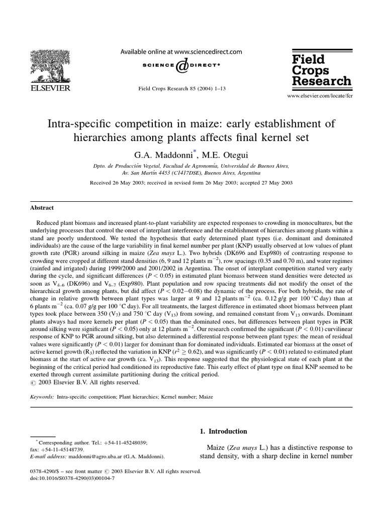 Maize Intra-Specific Competition Effects | PDF | Maize | Biomass