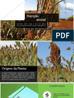 Seminario Nutrição Animal 2pdf