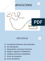 Aminoácidos y proteínas: estructura, clasificación y funciones