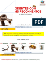 Acidentes Com Animais Peçonhentos PDF