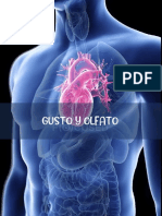 Gusto y Olfato PDF