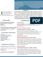 CV Guido Bravo Méndez 23-01-23 PDF