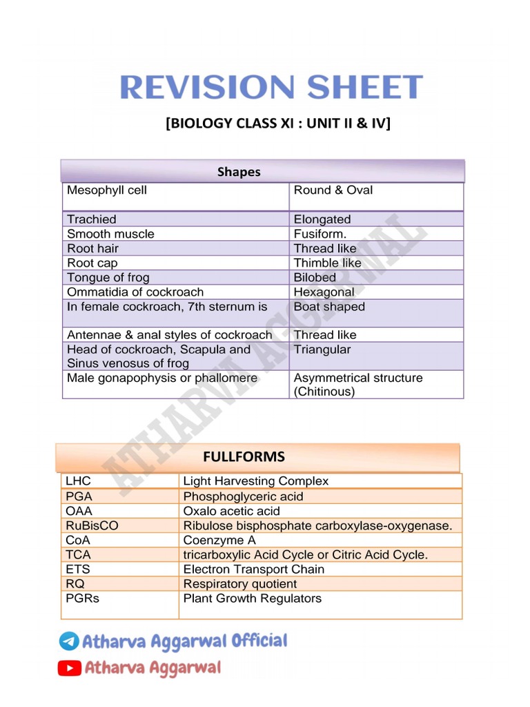 Revision SHEET Part 3 PDF | PDF