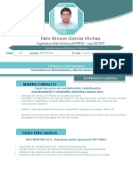 CV Félix Ericson García Vilchez PDF