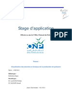 PFA - Rapport PDF