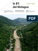 Boletin Informativo Proyecto Motagua