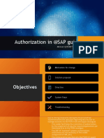 Authorization in @SAP Gui