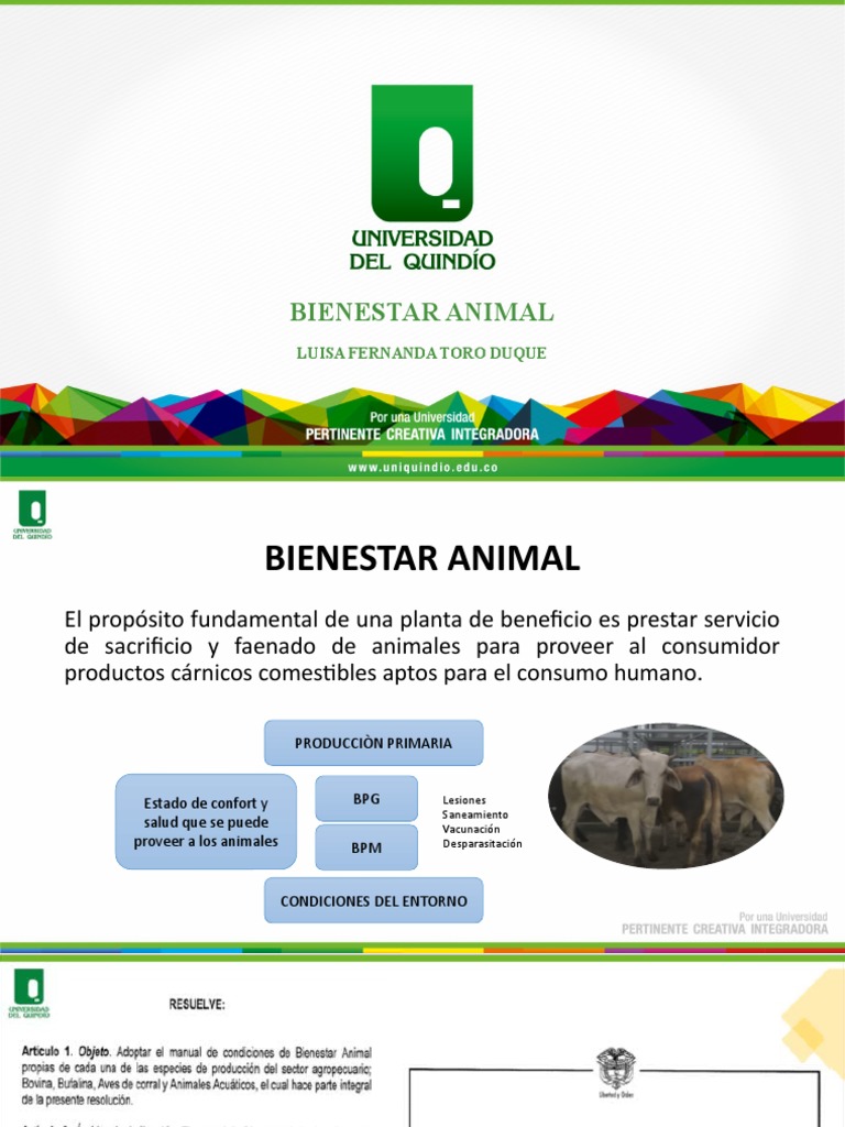 Bienestar Animal en Plantas de Beneficio | PDF | Bienestar de los ...