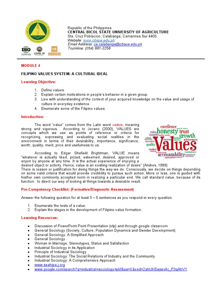 Module 4 Pdf Sociology Experience