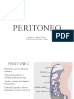 Peritoneo