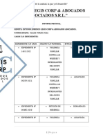 Informe Mensual Ulises Pinchi Doza