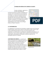 La Contaminación Florencia Caqueta