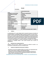 Ejemplo de Silabo PDF