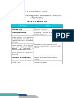 Cronograma Fund Seguimiento EFA PDF