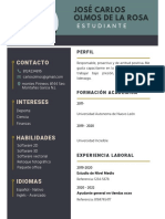 Curriculum Vitae Moderno Verde y Azul Os