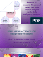 Inteligencia y Emoción PDF