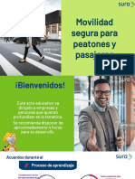 Movilidad Segura para Peatones y Pasajeros PDF
