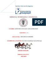 Tarea # 1 Esqueleto Apendicular Miembros Torácicos y Pelvianos