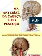 33sistemaarterial 110722131049 Phpapp01