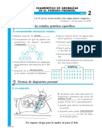 Diagnóstico de Anomalías en El Periodo Prenatal