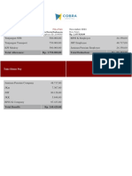 Payslip November 2021 PDF