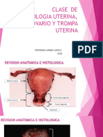 Clase de Utero, Ovario y Trompa Uterina-2022 PDF