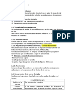 Calado distribución y tensado correa dentada