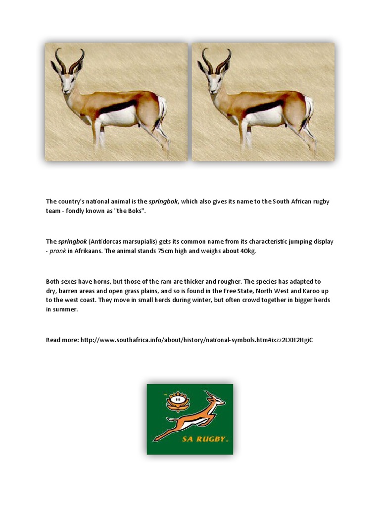 Springbok: South Africa's National Animal | PDF