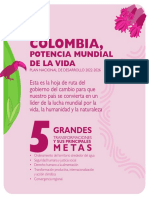 Infografias Metas PDF