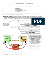 E4 - Resumen Seminarios PDF