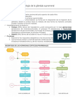 E5 - Resumen Seminarios PDF