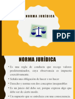 La Norma Juridica
