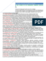 4º FILOSOFÍA (On Line 5) PDF